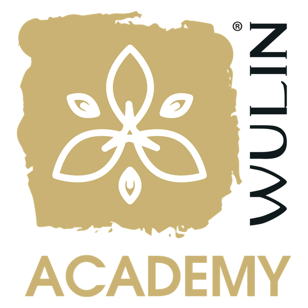 wulin-academy-black.png