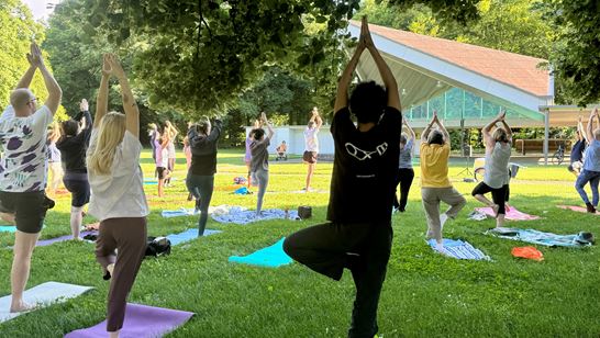 Bild Yoga Ah Bild Yoga Ah