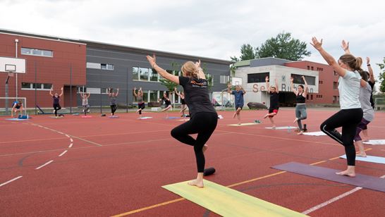 02 DSC03237 Kopie 02 DSC03237 Kopie