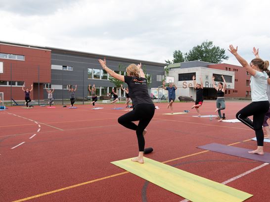 02 DSC03237 Kopie 02 DSC03237 Kopie