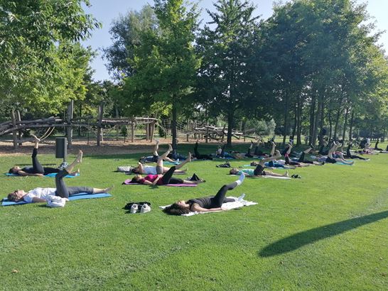 IMG 20250617 092302 IMG 20250617 092302