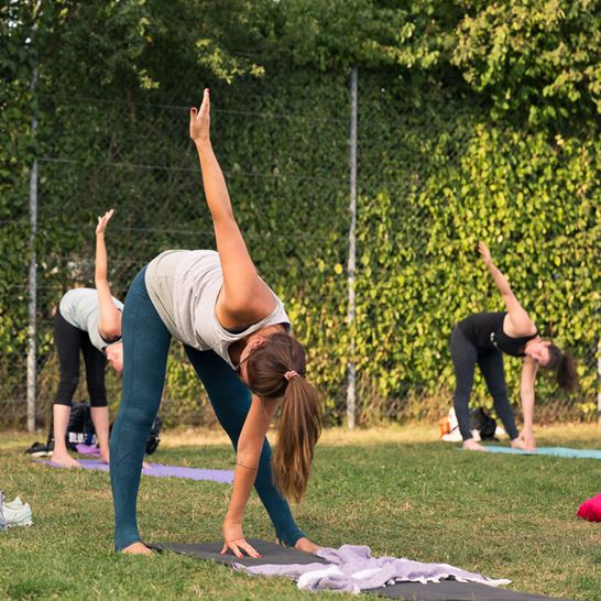 Gymnastik 2 Gymnastik 2