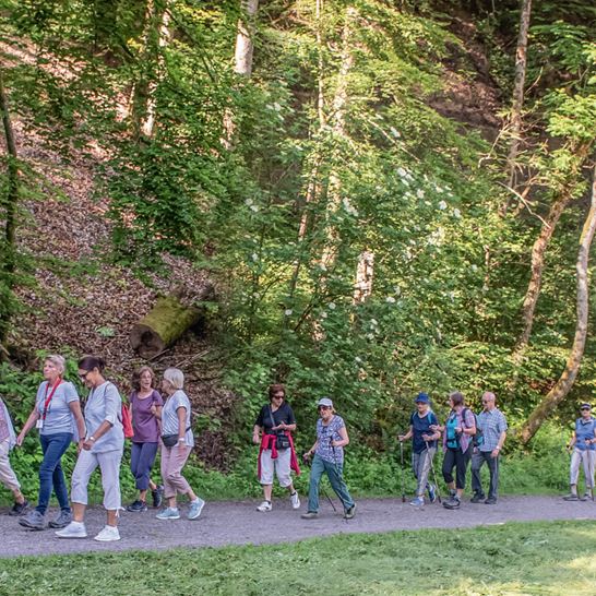 ZÄMEGOLAUFE ZÄMEGOLAUFE