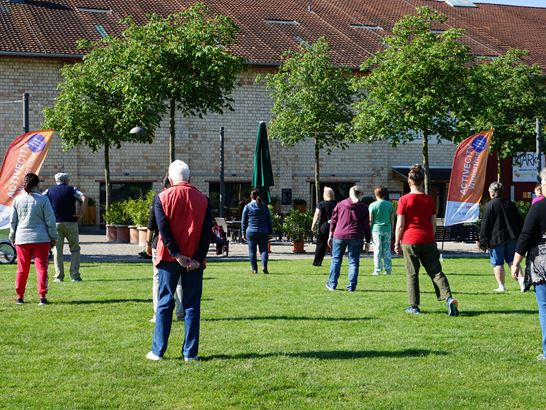 Linedance1 AC22 Linedance1 AC22