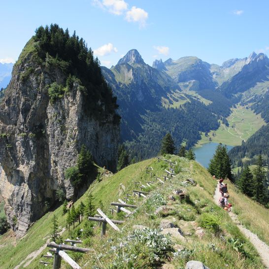 IMG_0332, Wenneli- Chopf.JPG IMG_0332, Wenneli- Chopf.JPG