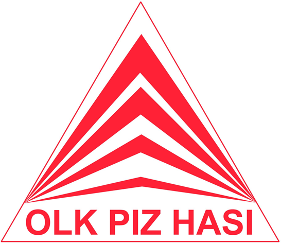 Logo Pizhasi Logo Pizhasi