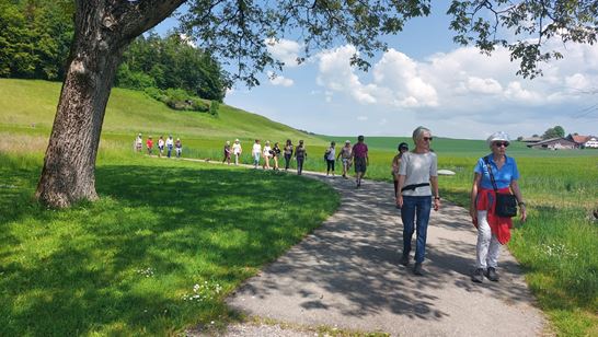 0Aaaea59 Dd5b 4F3e 8E28 32352B3fbfc8 0Aaaea59 Dd5b 4F3e 8E28 32352B3fbfc8