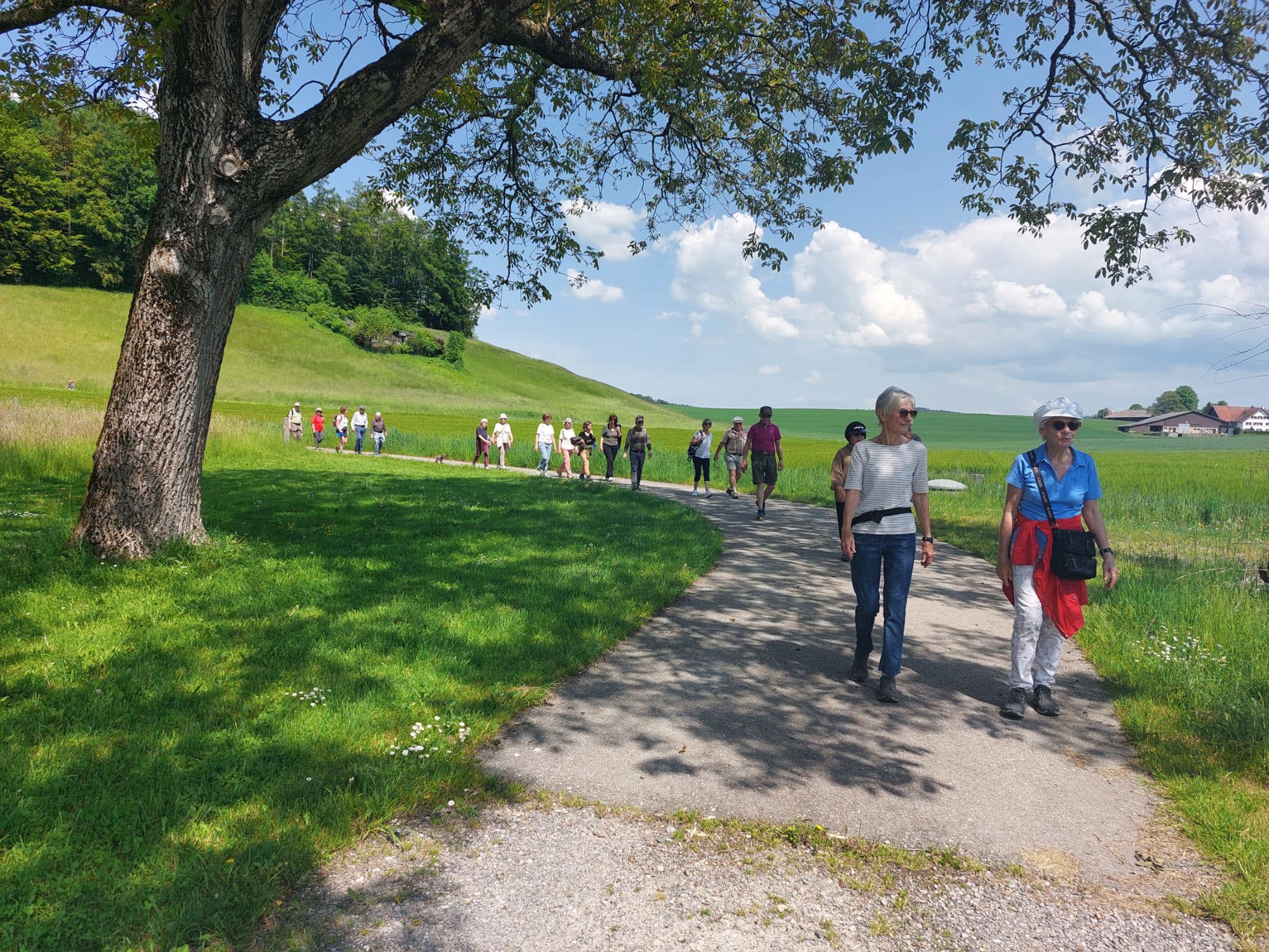 Horgen — Zäme Go Laufe : Hinwil — Zäme go laufe – IPRH