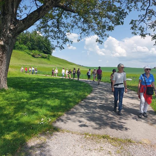 Foto Zäme Go Laufe Foto Zäme Go Laufe