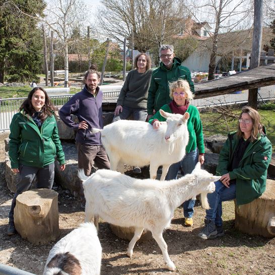 Stall-Team Chrüzacher Stall-Team Chrüzacher