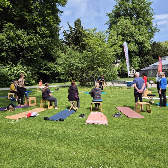 Gyrokinesis Lindengutpark Gyrokinesis Lindengutpark