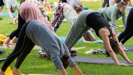 Sanftes Yoga 10.06.24 26 Sanftes Yoga 10.06.24 26