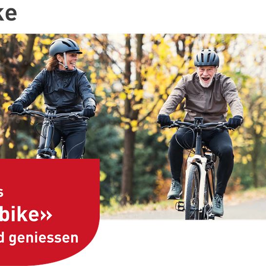 HeaderVorgabe.png HeaderVorgabe.png