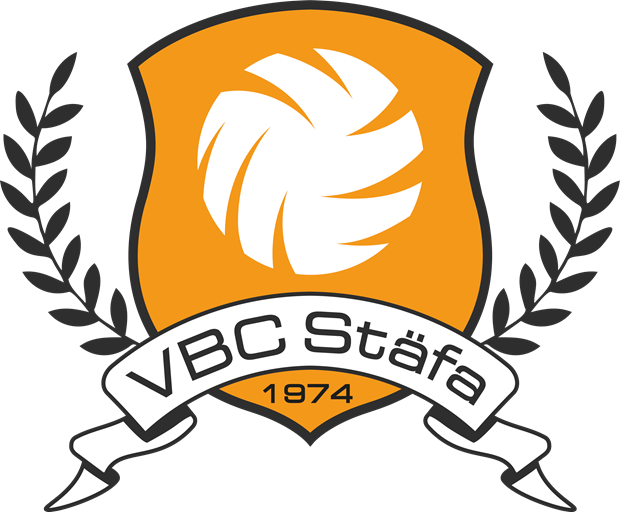 Logo_VBCStaefa.png (1)
