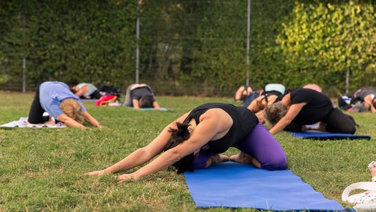 Activecity Yoga 00053 Activecity Yoga 00053